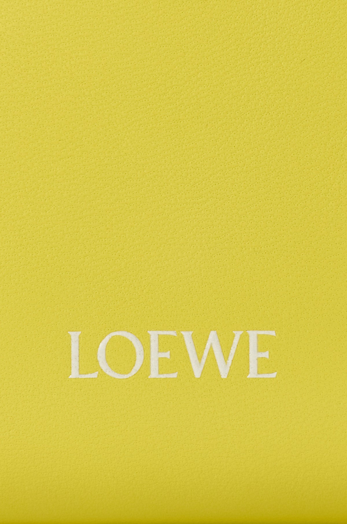 Loewe Cala mini bag in mellow nappa lambskin