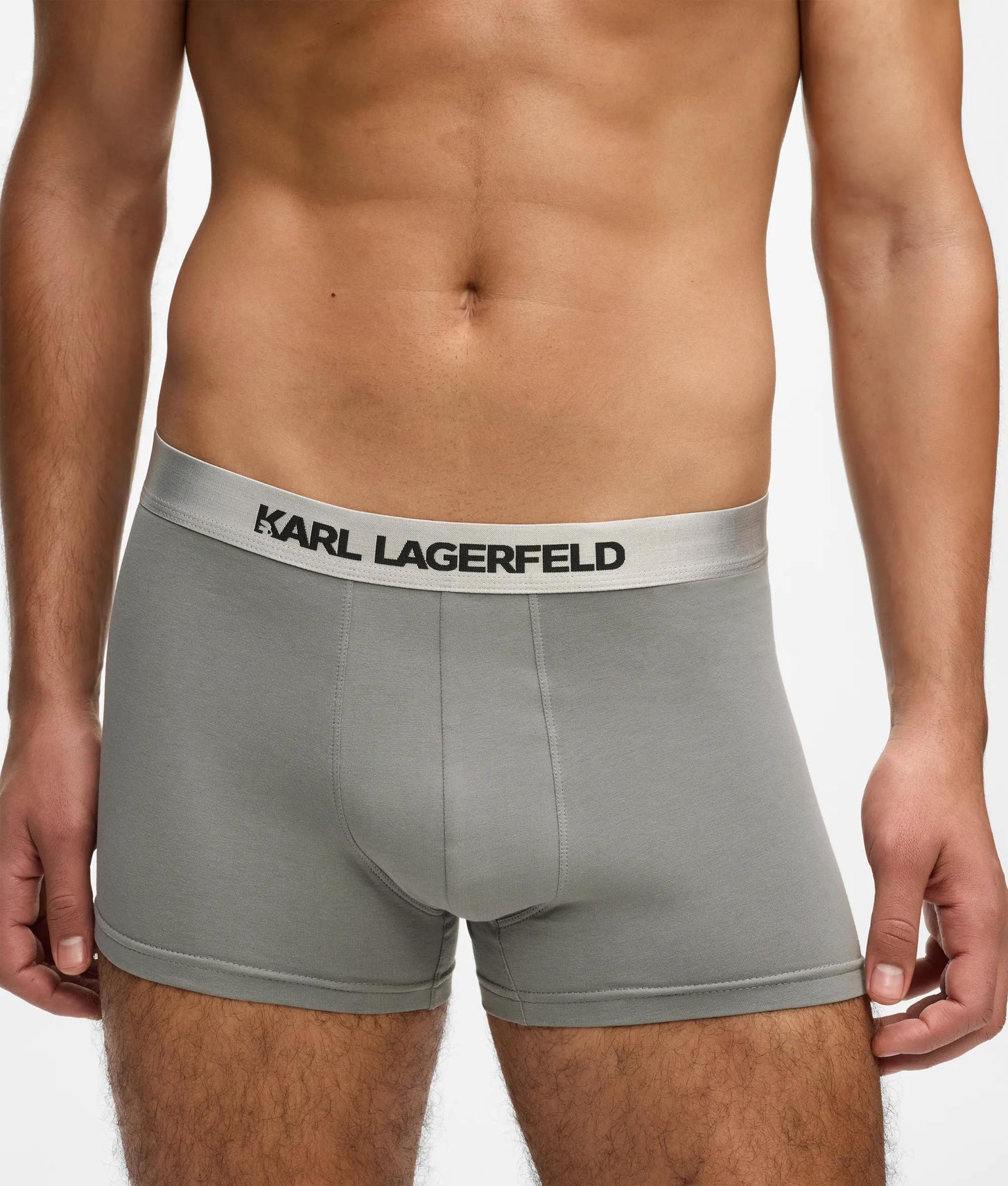 Karl Lagerfeld Metallic Logo Trunks – 3-Pack Forest-Black-Sedona