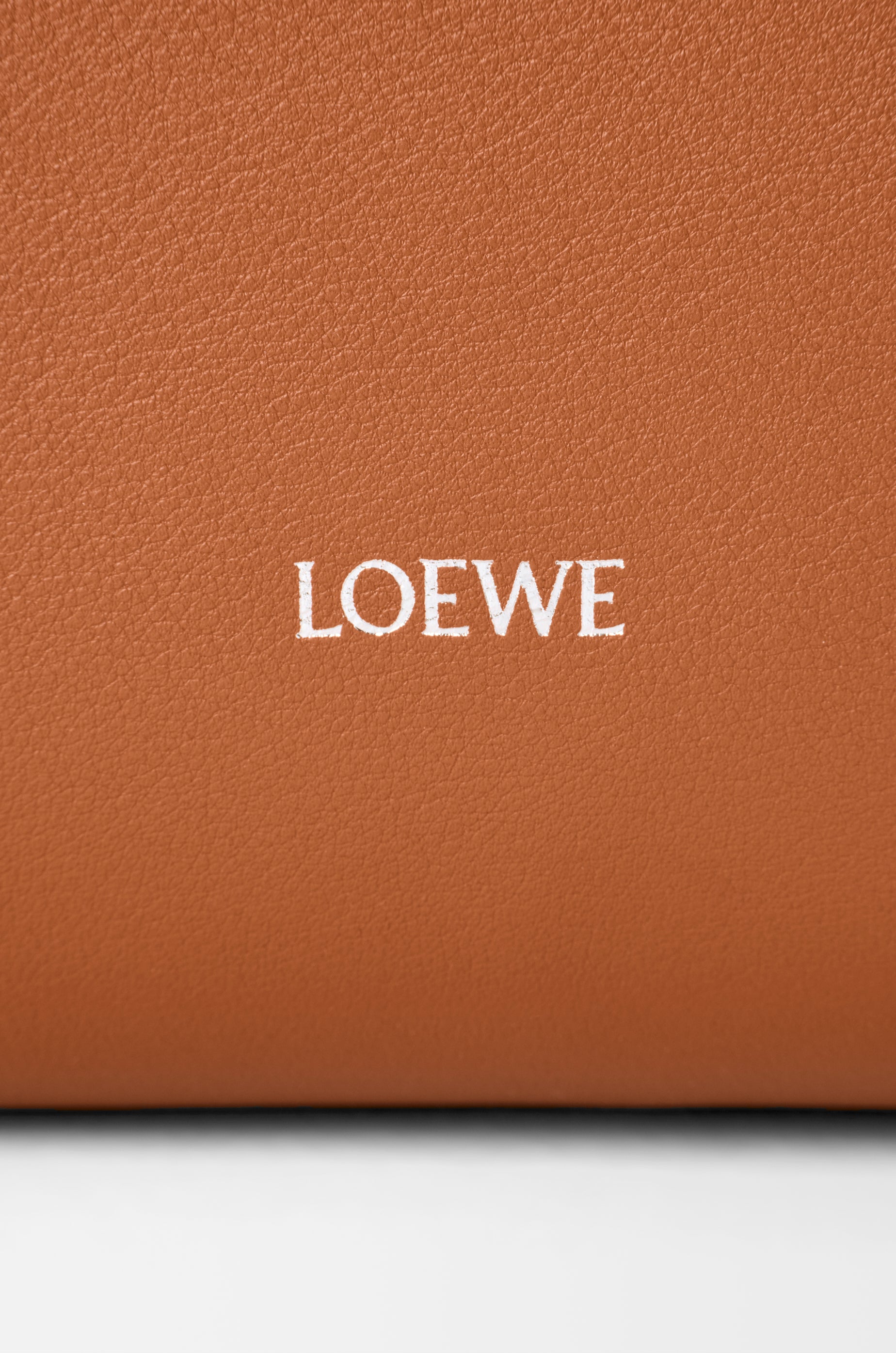Loewe Hammock Flip bag in classic calfskin