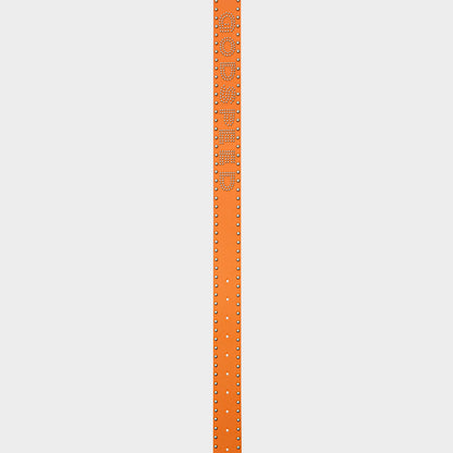 Godspeed Forged GS Studded Belt (Orange)