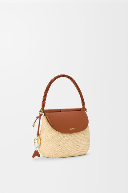 Loewe Medium Pescador bag in raffia and calfskin