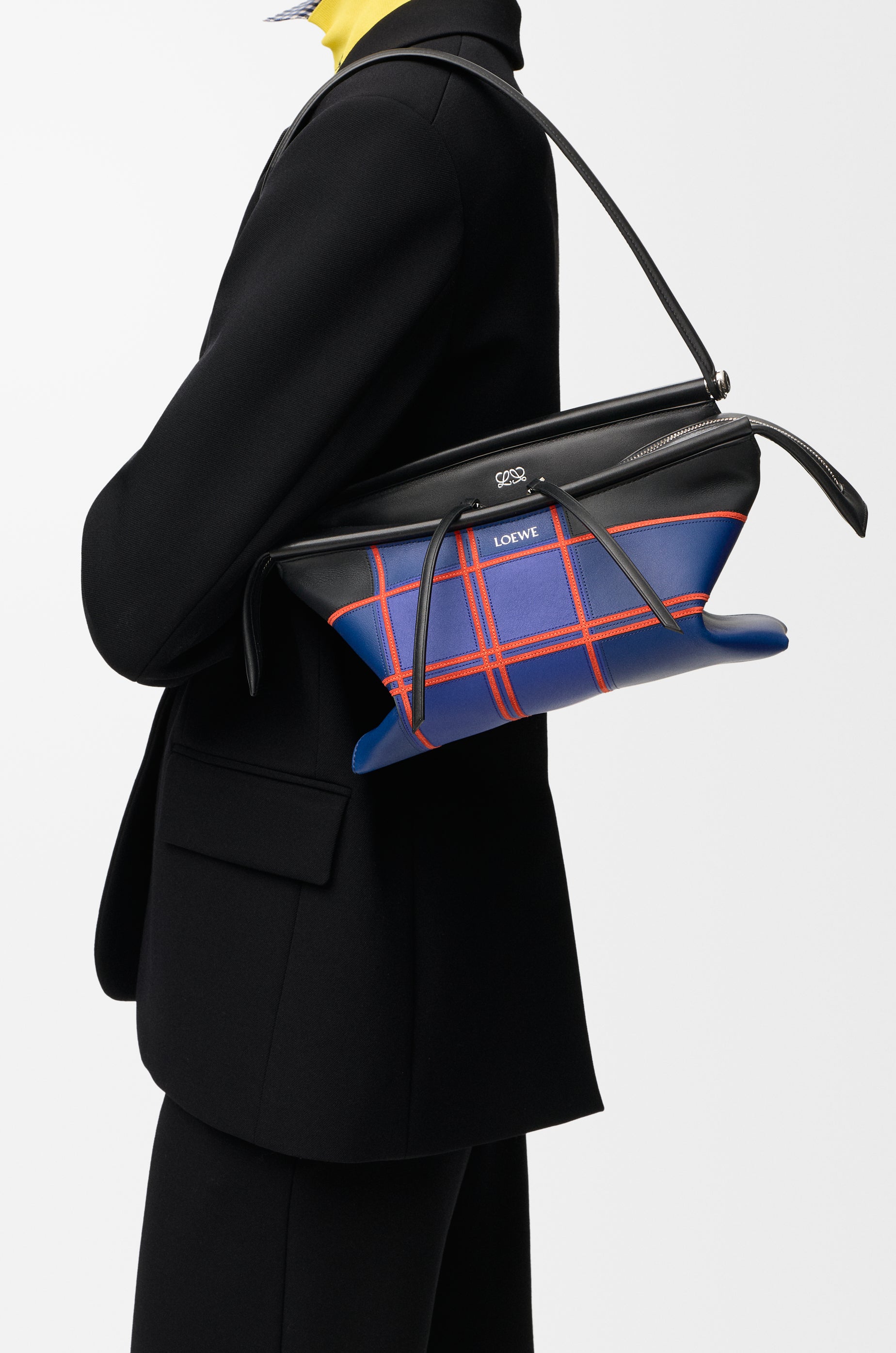Loewe Small Whisker bag in check intarsio
