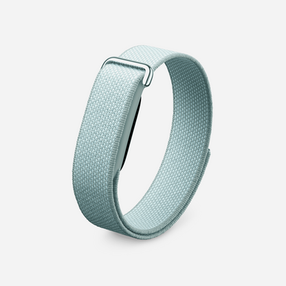 Google Fitbit Air Classic
