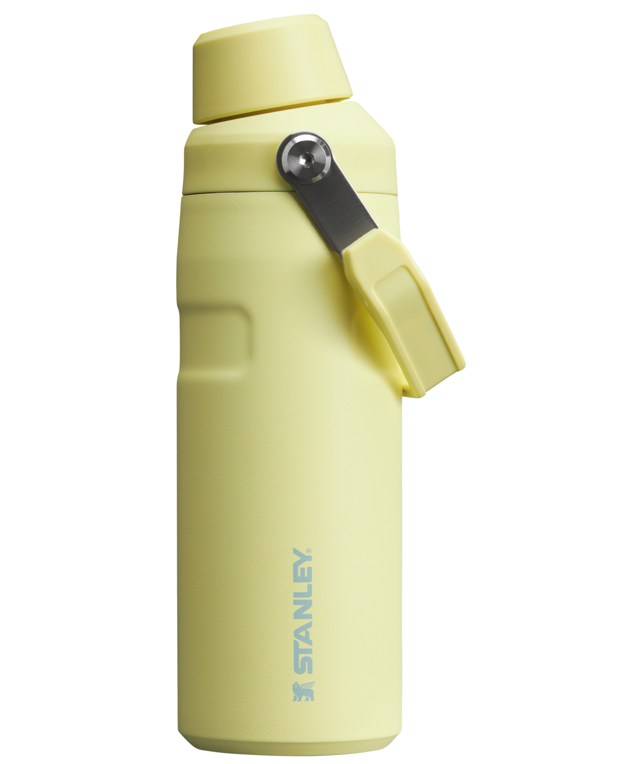 IceFlow Bottle with Fast Flow Lid | 16 OZ Pomelo Pomelo