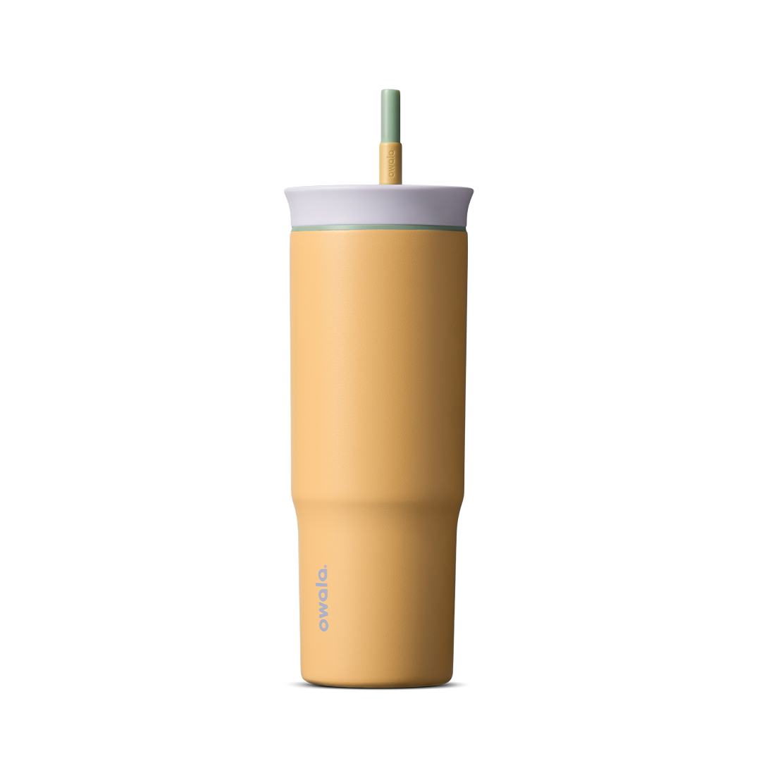  Owala 24Oz Tumbler Beachfront