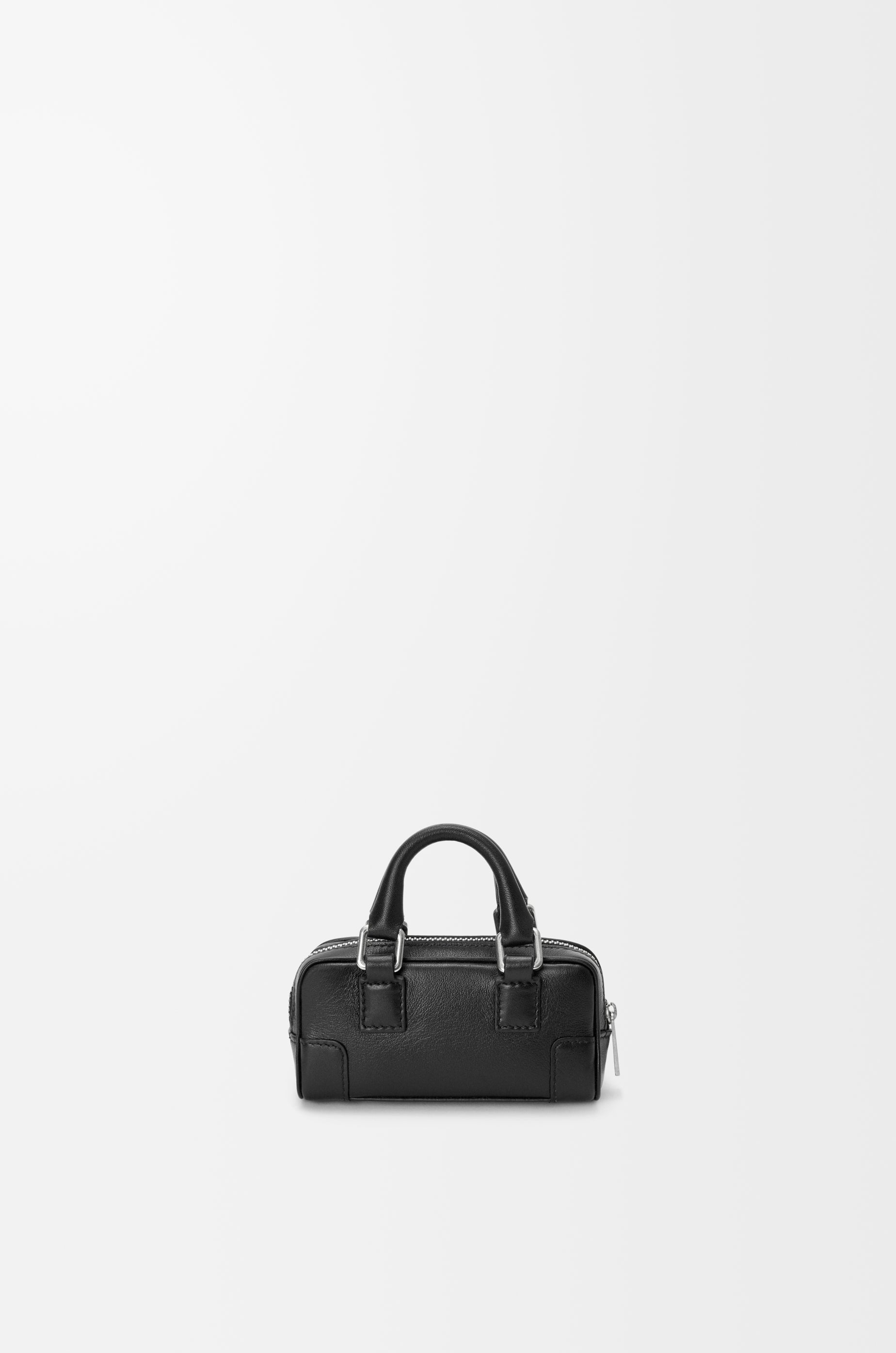Loewe Amazona Nano in shiny calfskin