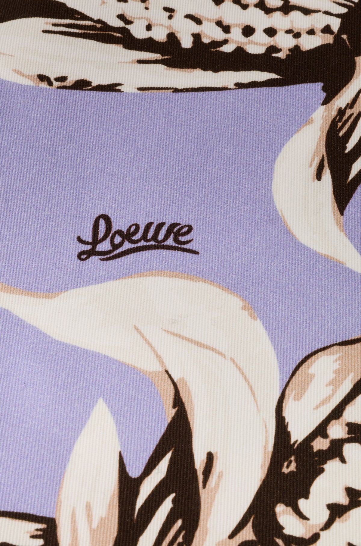 Loewe Corn small drawstring pouch in canvas