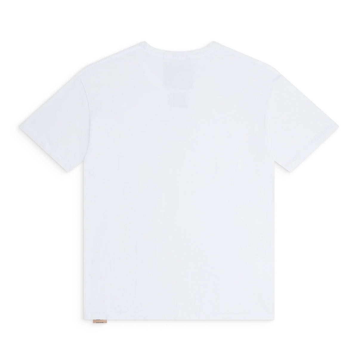 #color_clean-white