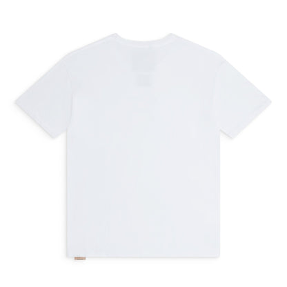 #color_clean-white