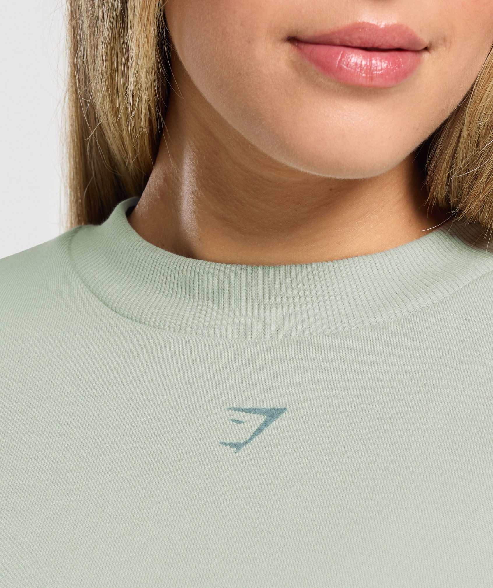 Women's Gymshark Campus Classics Graphic Sweatshirt Stone Grey