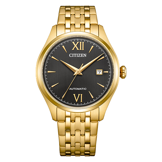 Citizen Mechanical 3 Hands Nj0242-50E