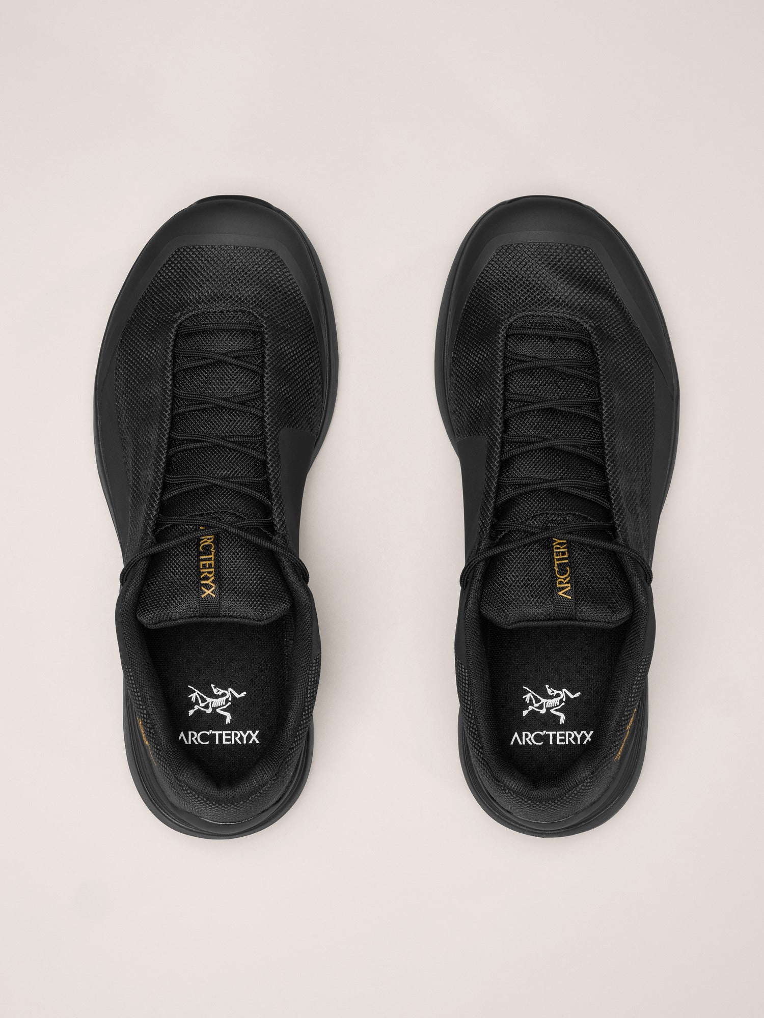 Arcteryx Kopec Gtx Shoe Womens Black Yukon