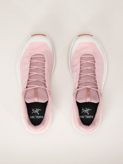 Arcteryx Outlet Kopec Gtx Shoe Womens Bliss Dk Arctic Silk