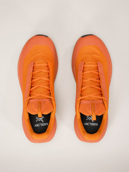 Arcteryx Outlet Norvan Ld 4 Gtx Shoe Mens Copper Sky