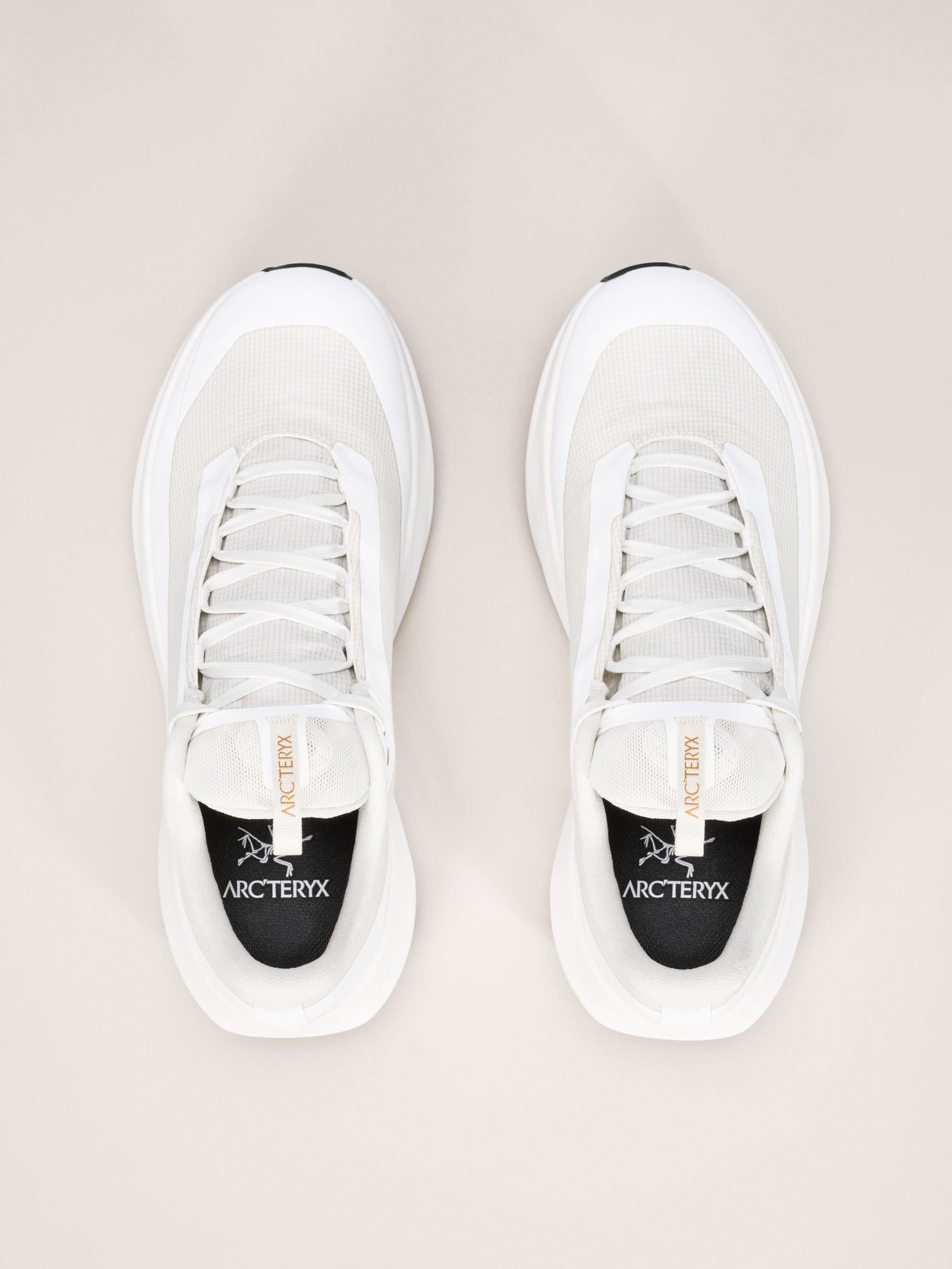Arcteryx Norvan Ld 4 Gtx Shoe Womens Arctic Silk