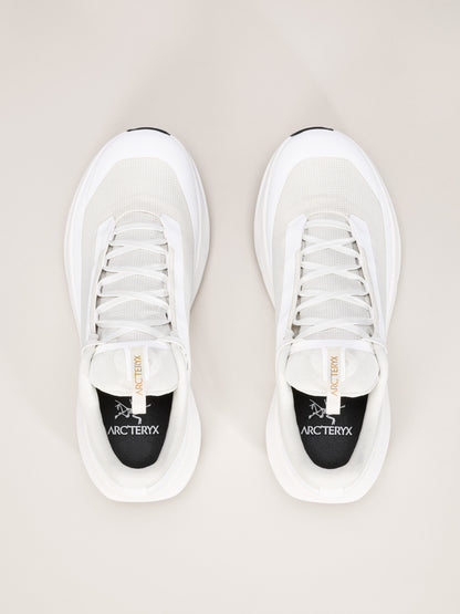 Arcteryx Norvan Ld 4 Gtx Shoe Womens Arctic Silk