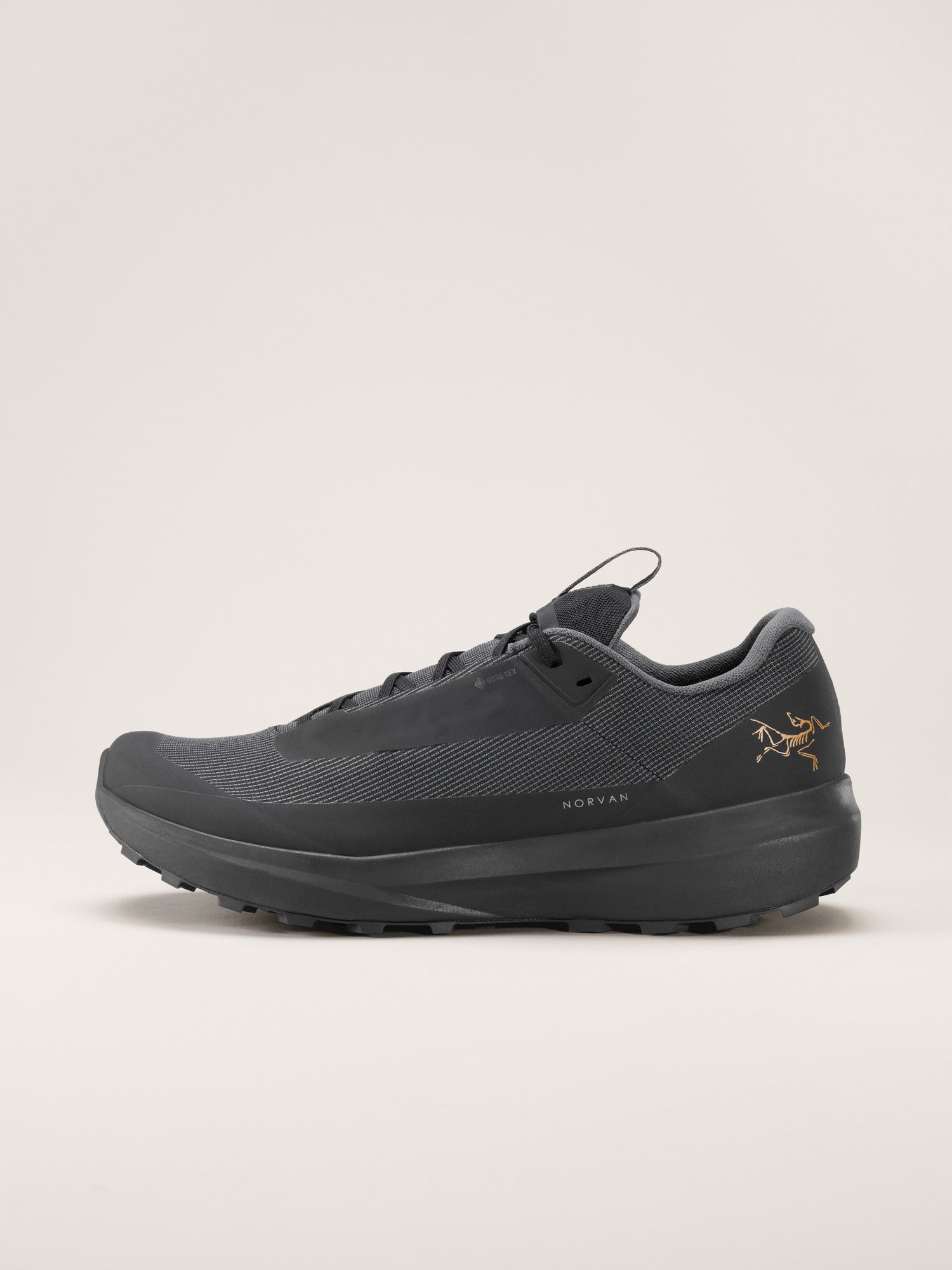 Arcteryx Norvan Ld 4 Gtx Shoe Womens Black