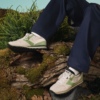 Brooks Chariot Moonbeam/Green/Forest