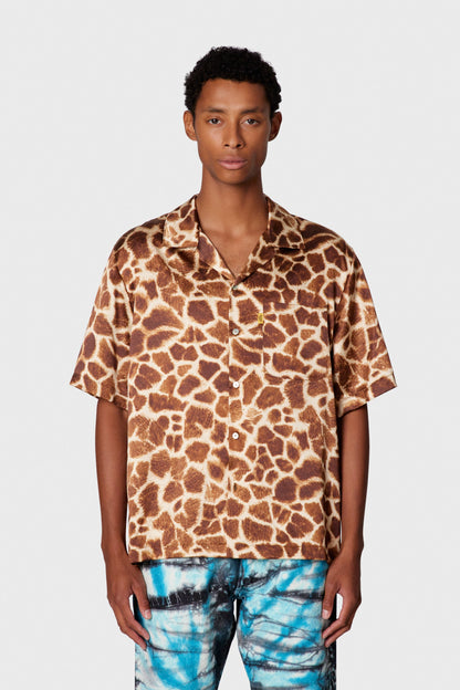 #color_realistic-giraffe