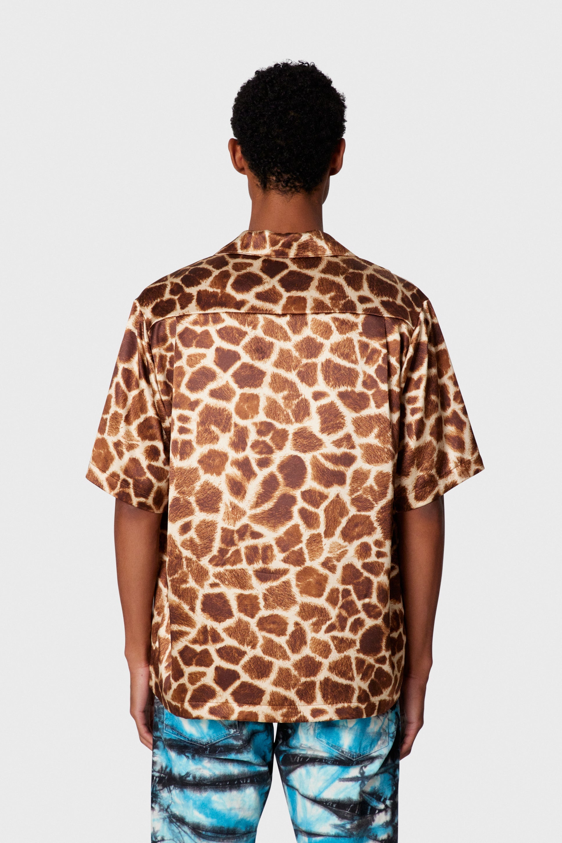#color_realistic-giraffe