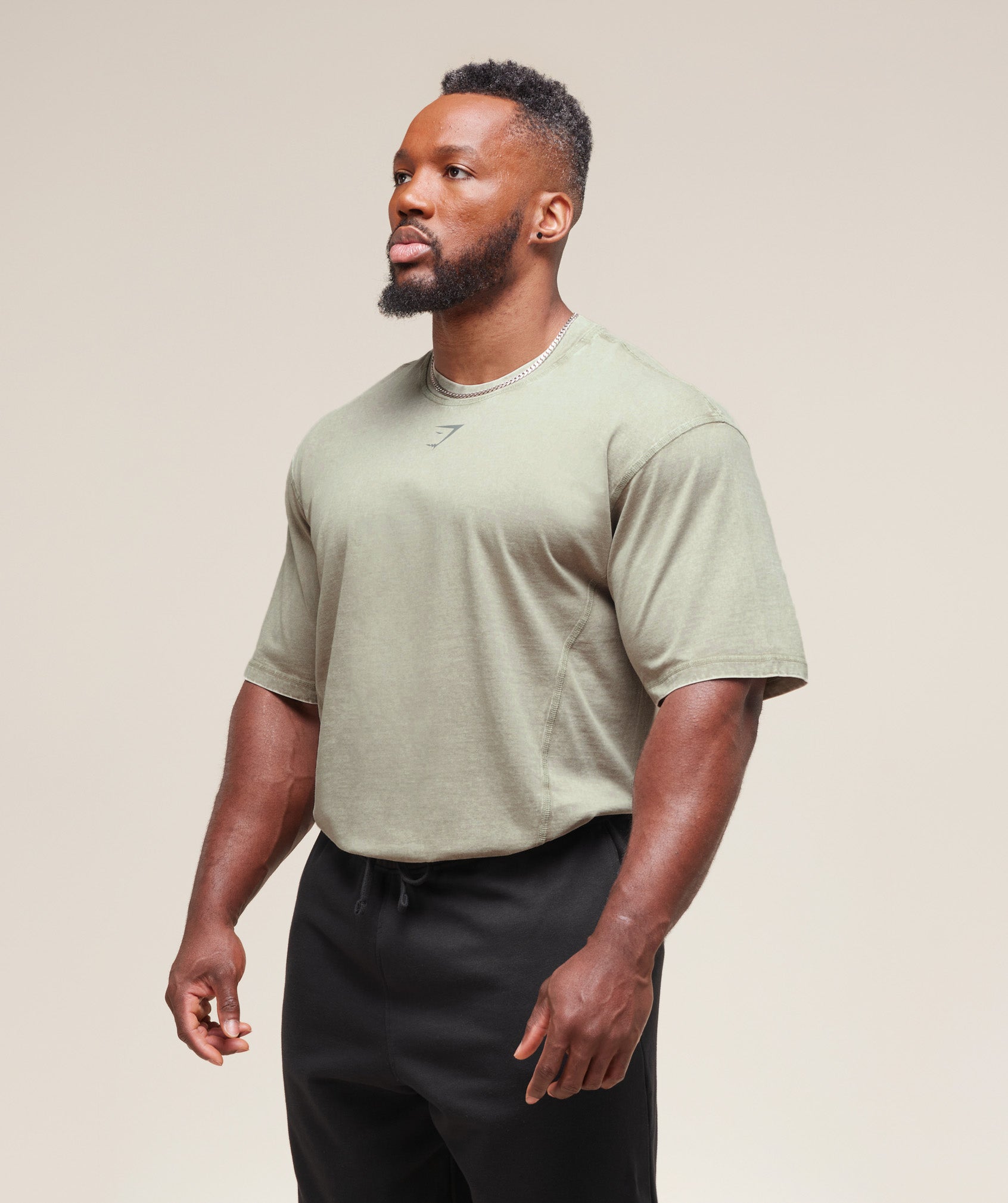Gymshark Heritage Washed T-Shirt Stone Grey