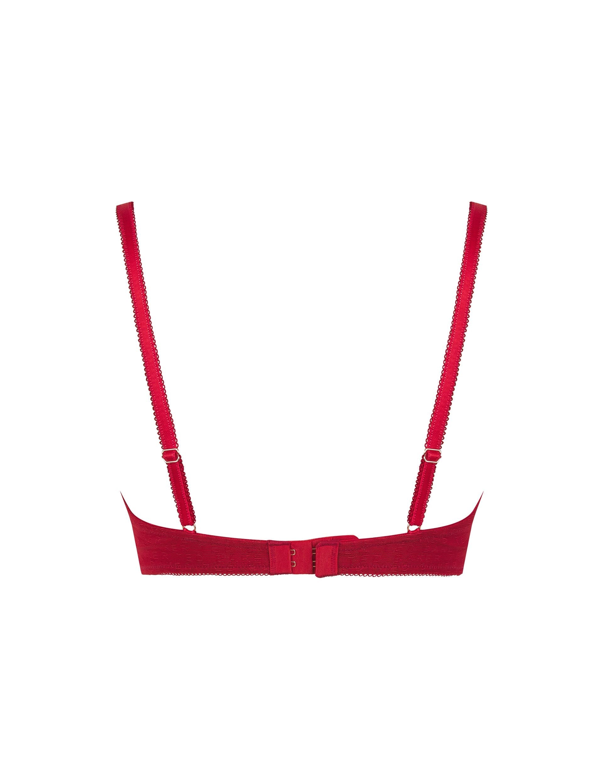 Ted Baker Iris Branded Mesh Wired Full Cup Bra Women's