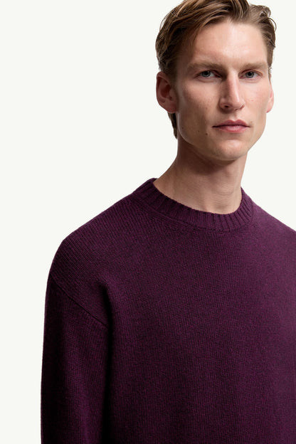 Moncler Wool & Cashmere Sweater Purple Purple