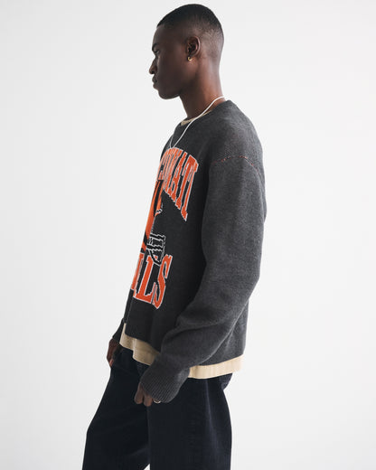 Abercrombie San Francisco 49ers Crew Sweater
