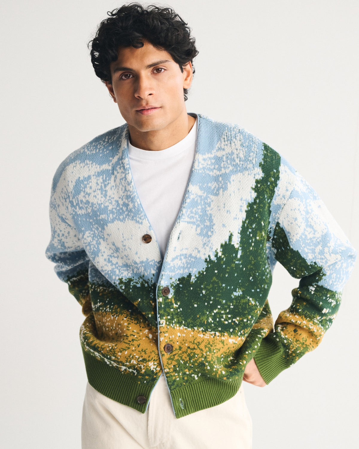 Abercrombie Van Gogh Scenic Cardigan