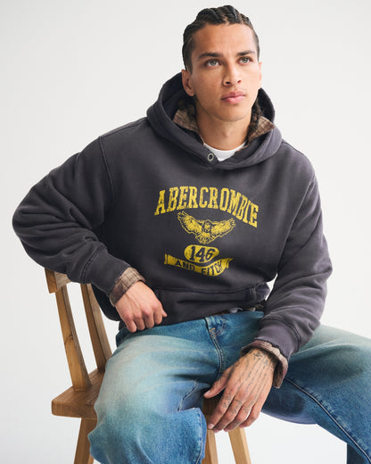 Abercrombie Logo Popover Hoodie