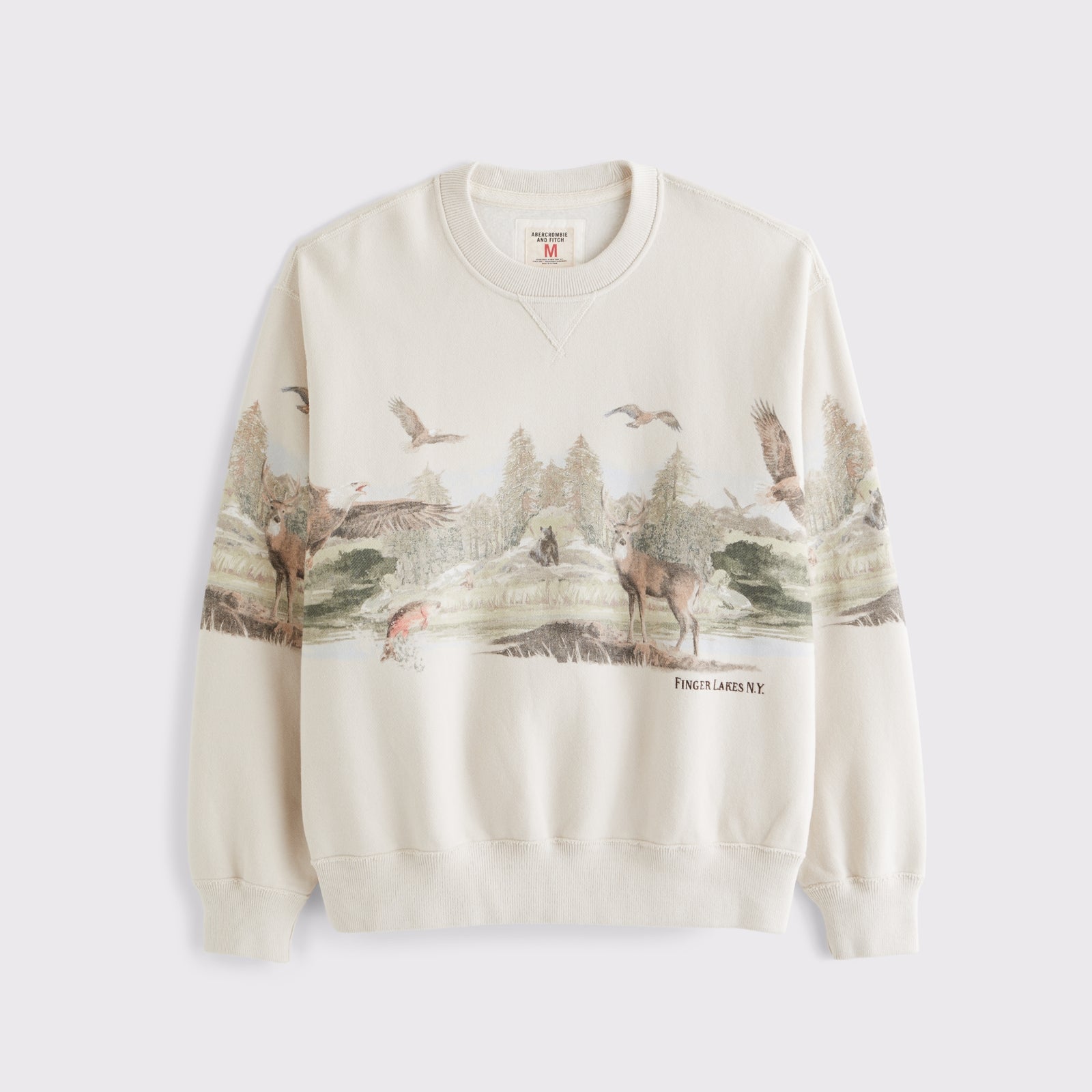 Abercrombie Heritage Heavyweight Popover Hoodie