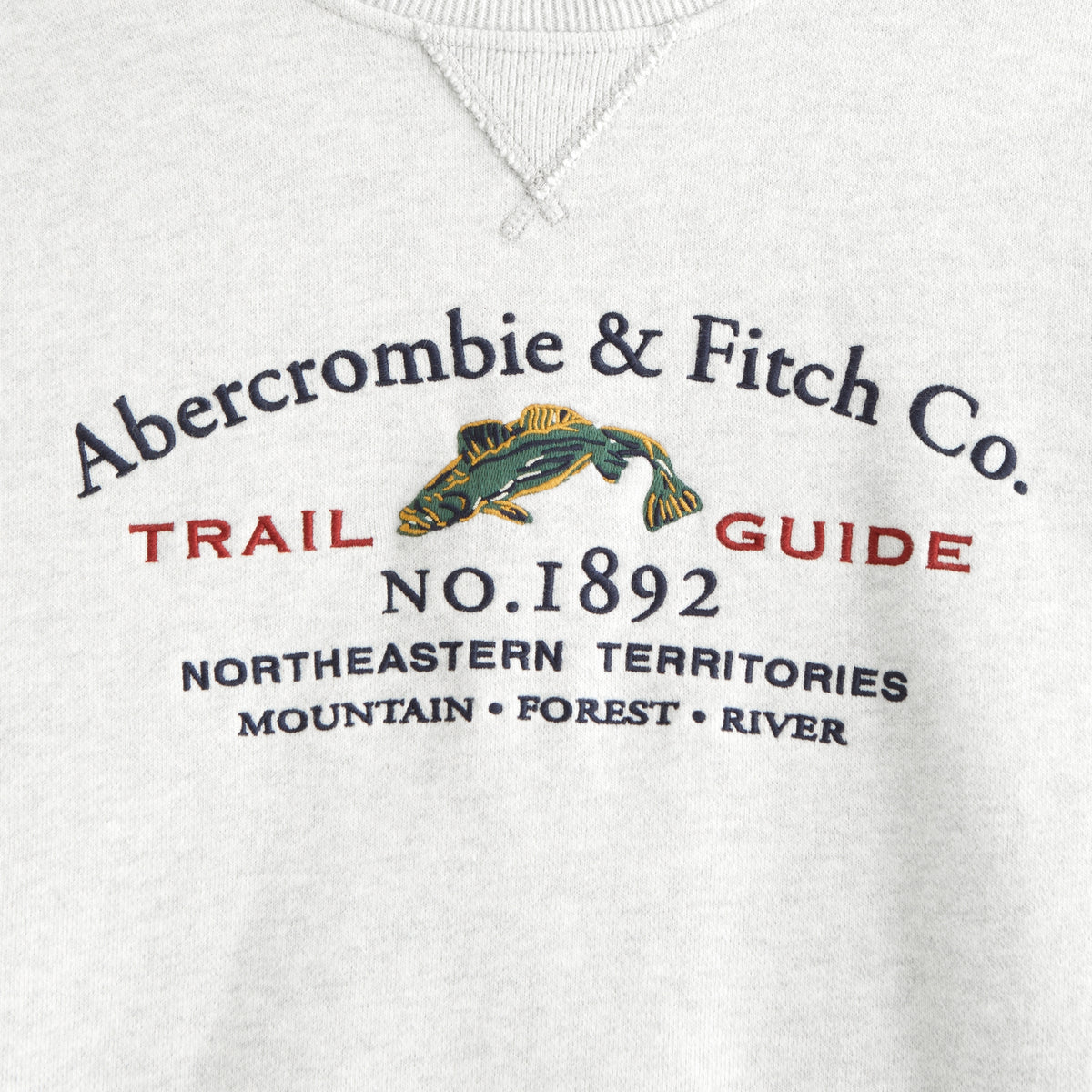 Abercrombie Heritage Heavyweight Popover Hoodie
