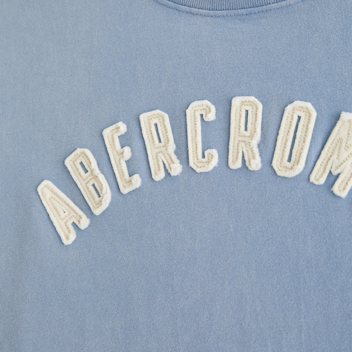Abercrombie Premium Heavyweight 2.0 Logo Tee