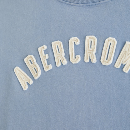 Abercrombie Premium Heavyweight 2.0 Logo Tee