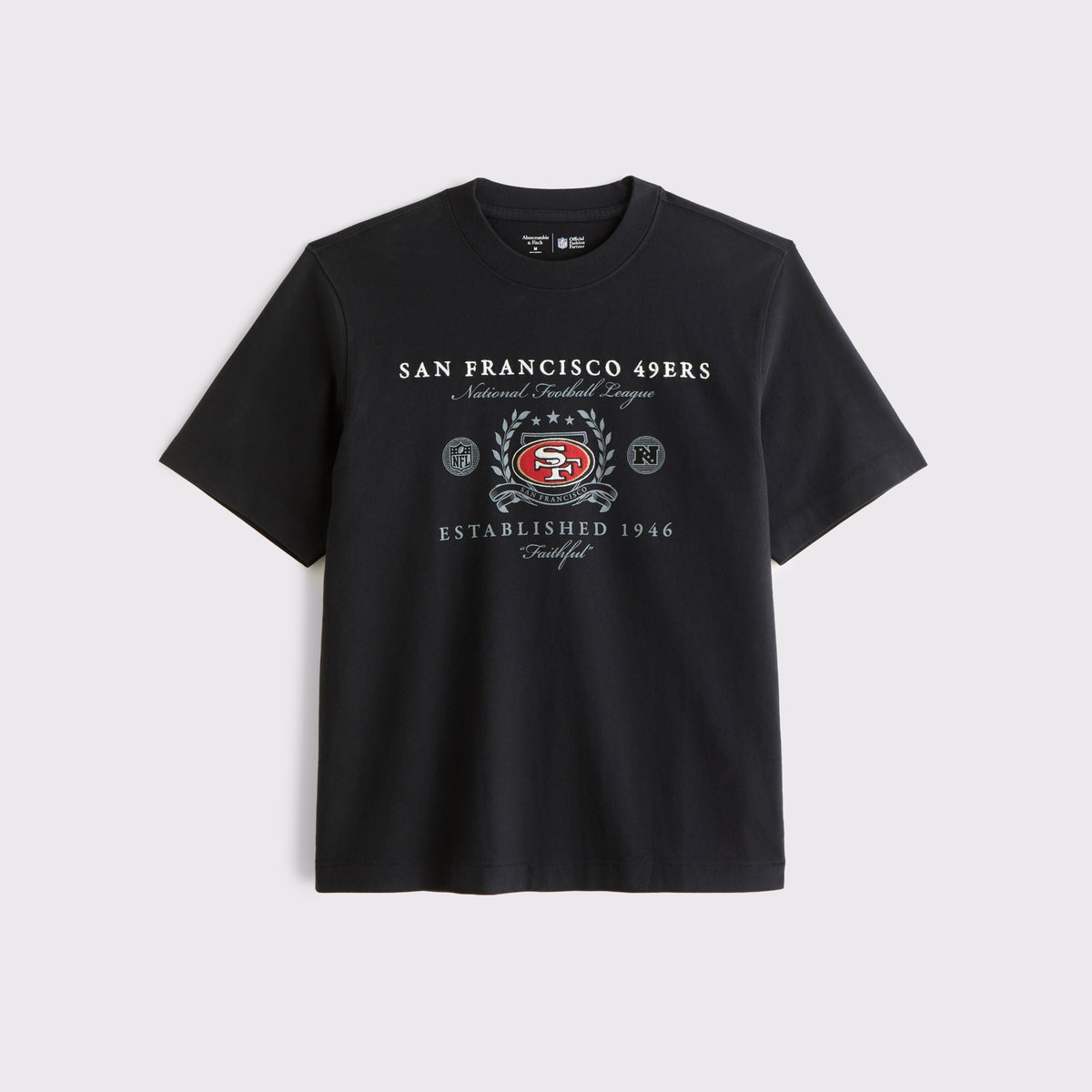 Abercrombie Tennessee Titans Premium Heavyweight 2.0 Tee
