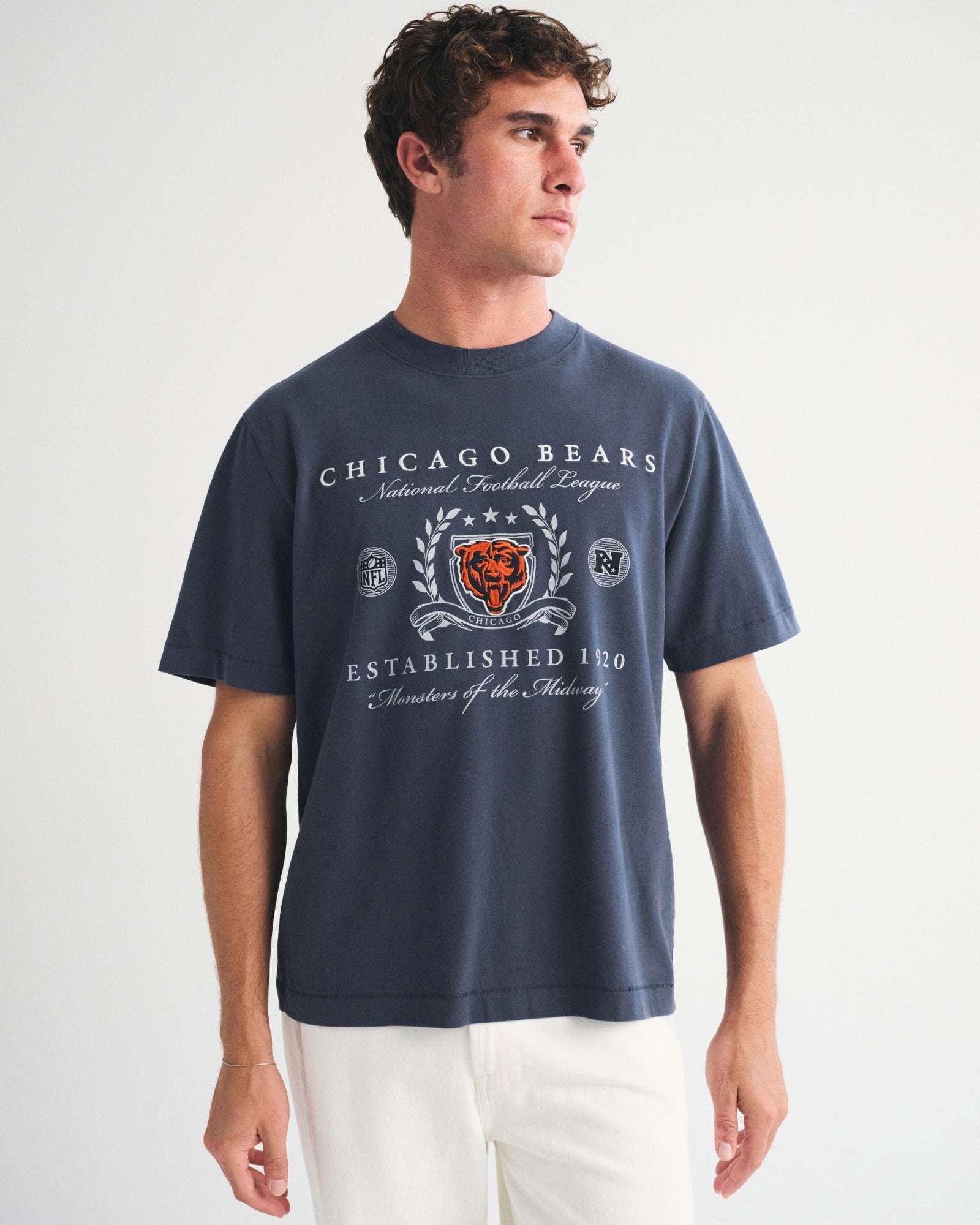 Abercrombie Tennessee Titans Premium Heavyweight 2.0 Tee