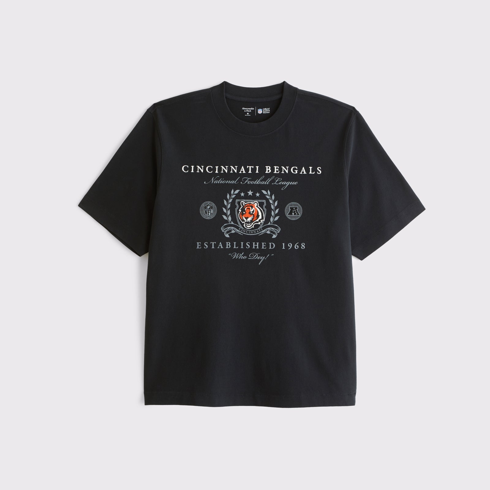 Abercrombie Tennessee Titans Premium Heavyweight 2.0 Tee