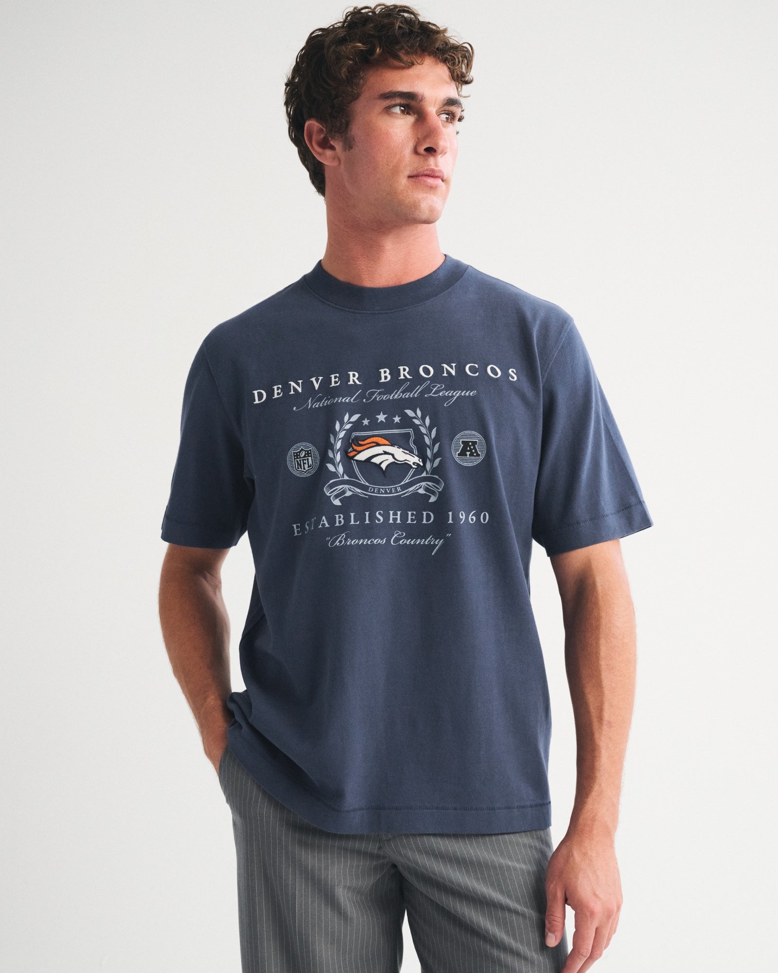 Abercrombie Tennessee Titans Premium Heavyweight 2.0 Tee