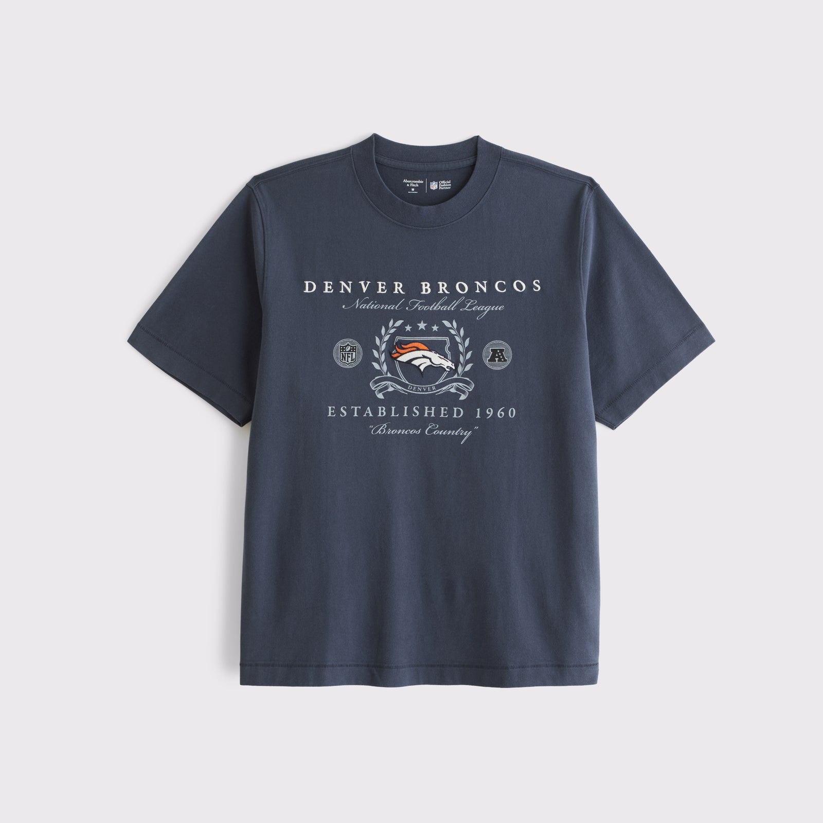 Abercrombie Tennessee Titans Premium Heavyweight 2.0 Tee