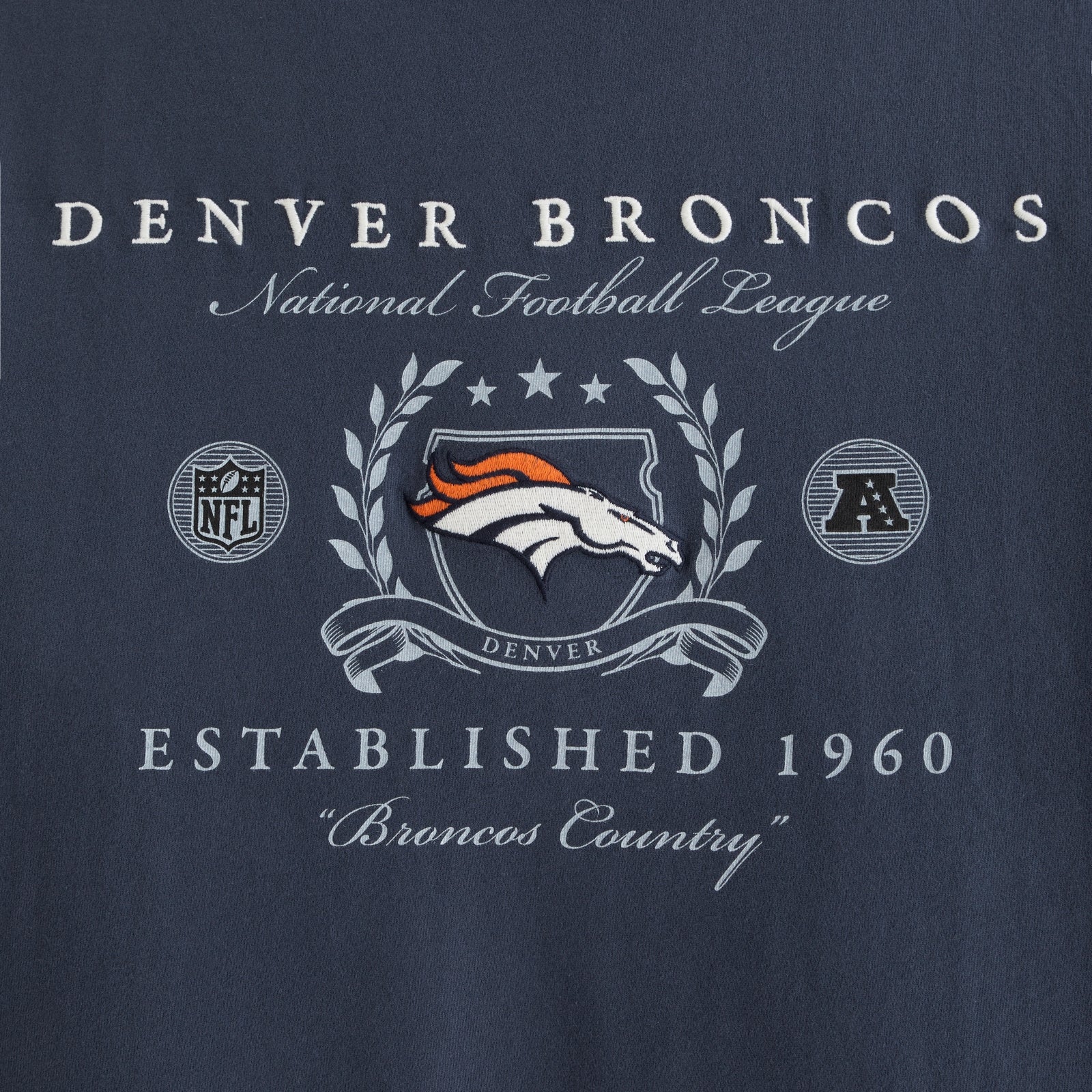 Abercrombie Tennessee Titans Premium Heavyweight 2.0 Tee