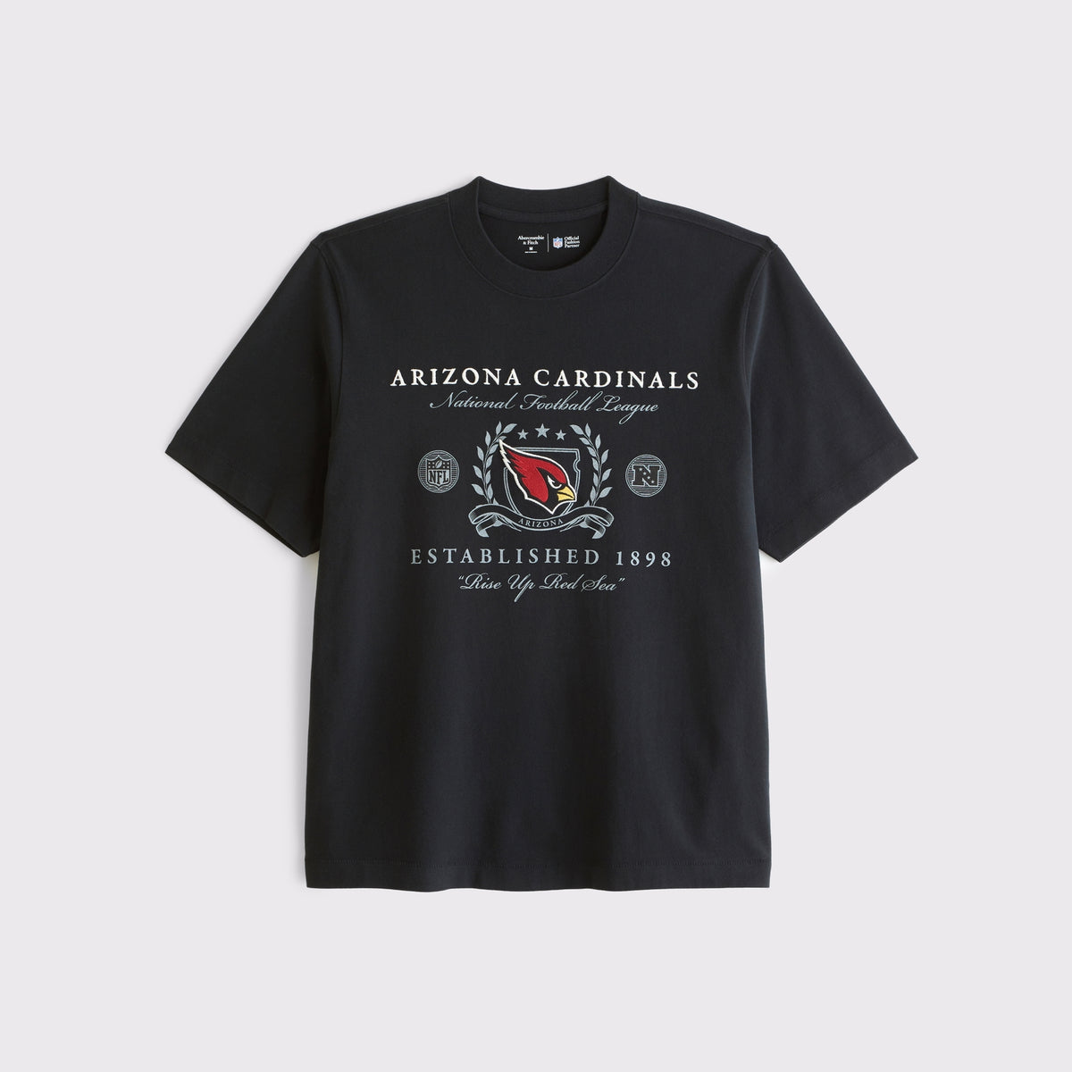 Abercrombie Tennessee Titans Premium Heavyweight 2.0 Tee