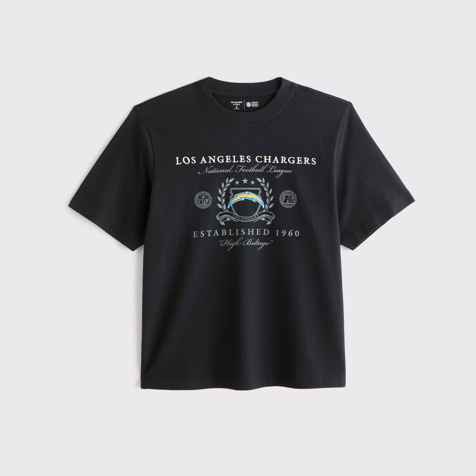 Abercrombie Tennessee Titans Premium Heavyweight 2.0 Tee