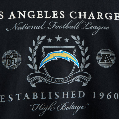 Abercrombie Tennessee Titans Premium Heavyweight 2.0 Tee