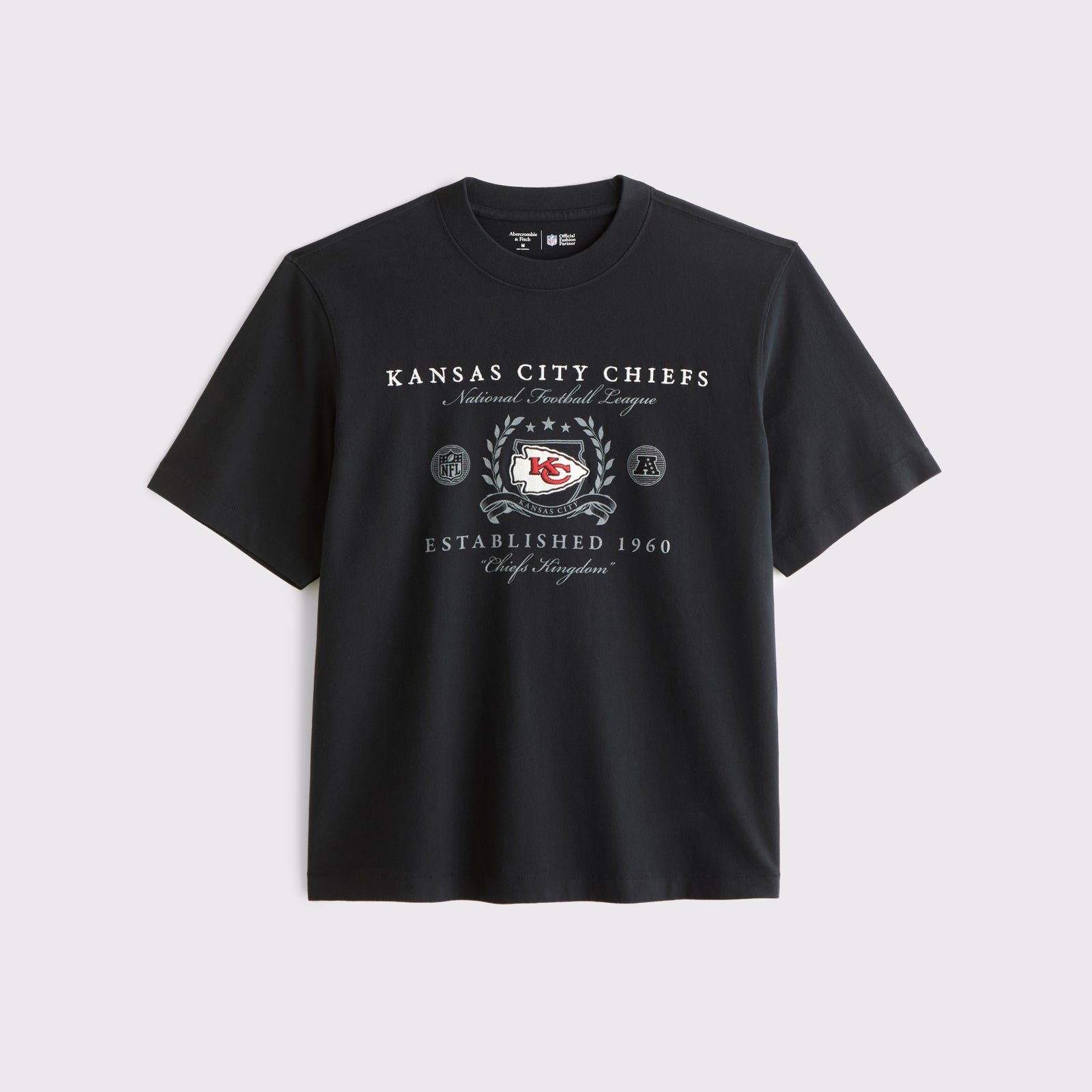 Abercrombie Tennessee Titans Premium Heavyweight 2.0 Tee