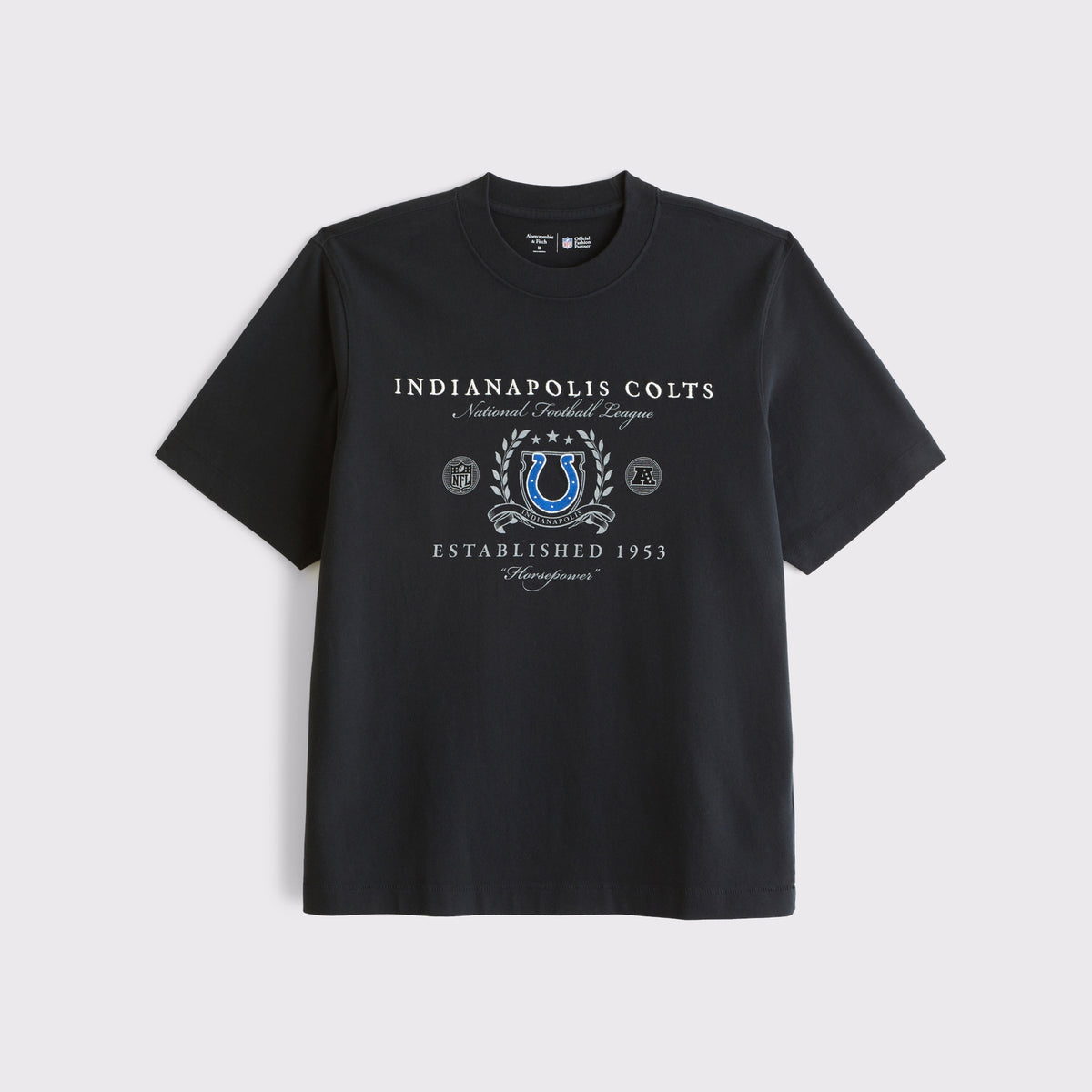 Abercrombie Tennessee Titans Premium Heavyweight 2.0 Tee