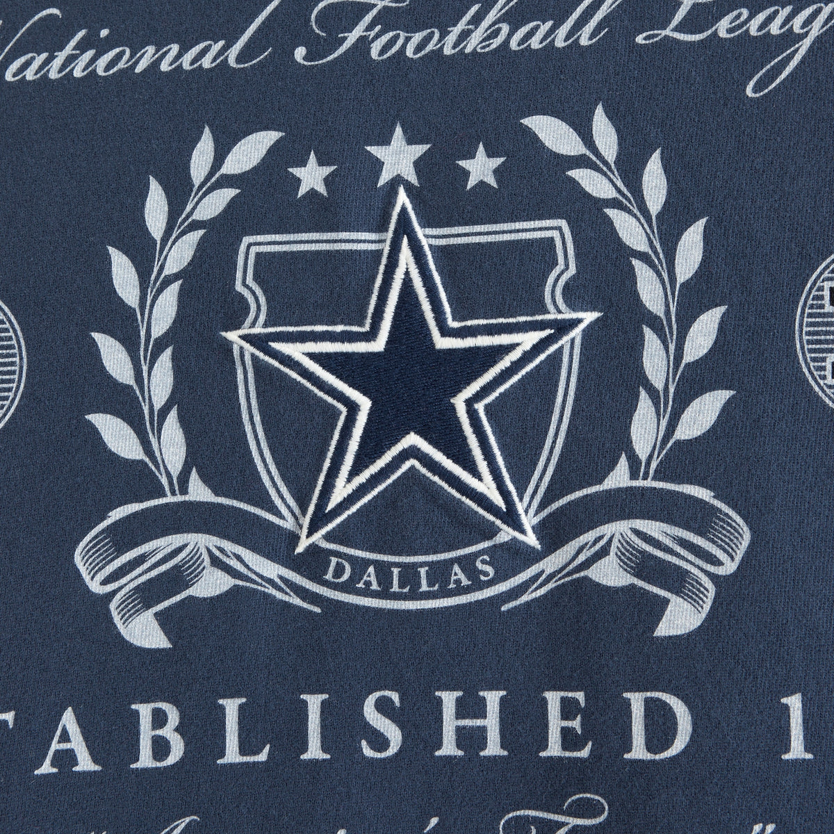 Abercrombie Tennessee Titans Premium Heavyweight 2.0 Tee