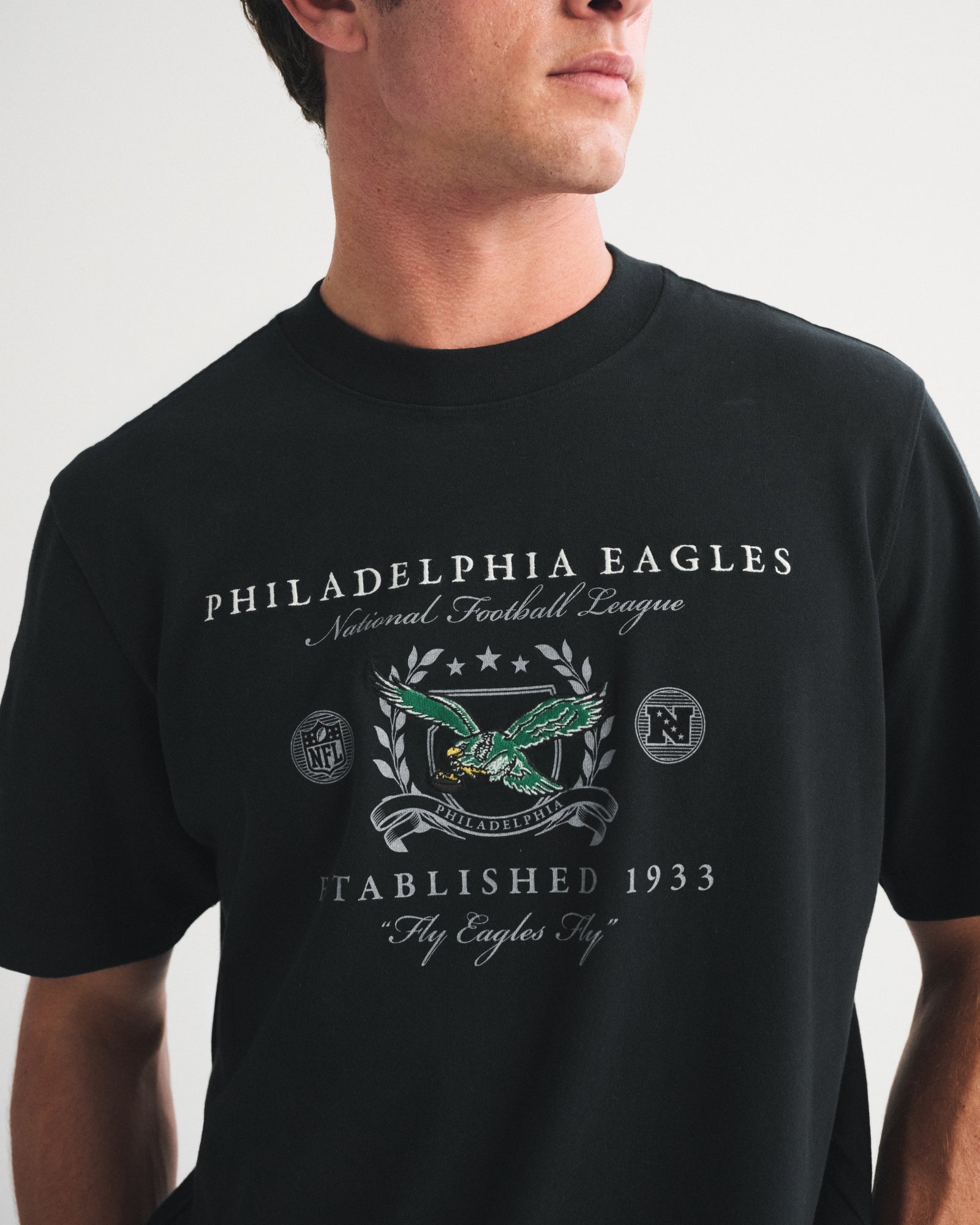 Abercrombie Tennessee Titans Premium Heavyweight 2.0 Tee
