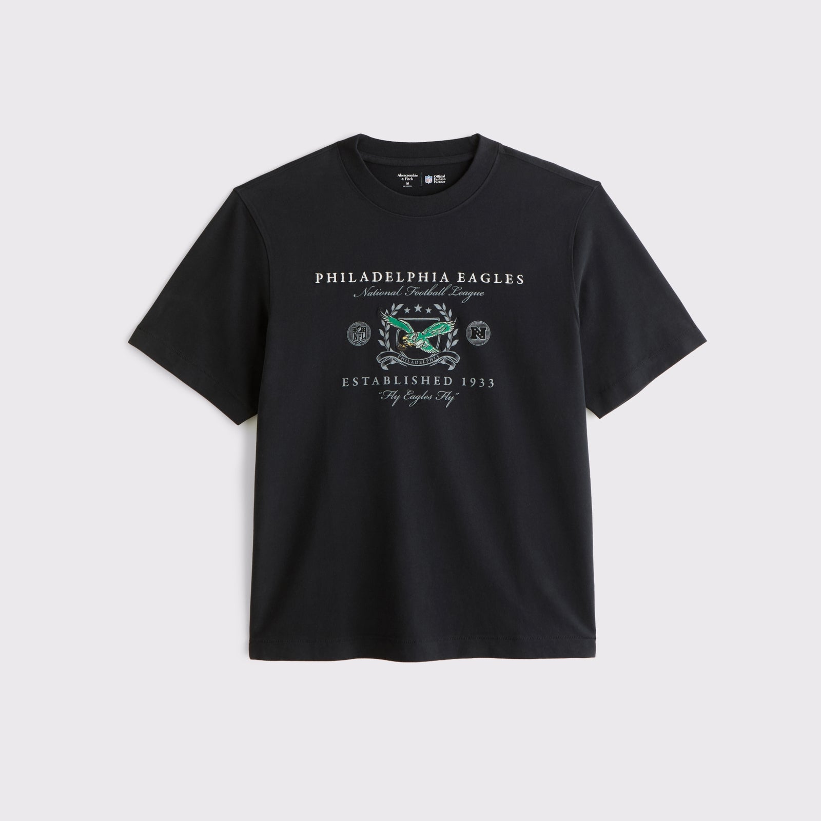 Abercrombie Tennessee Titans Premium Heavyweight 2.0 Tee