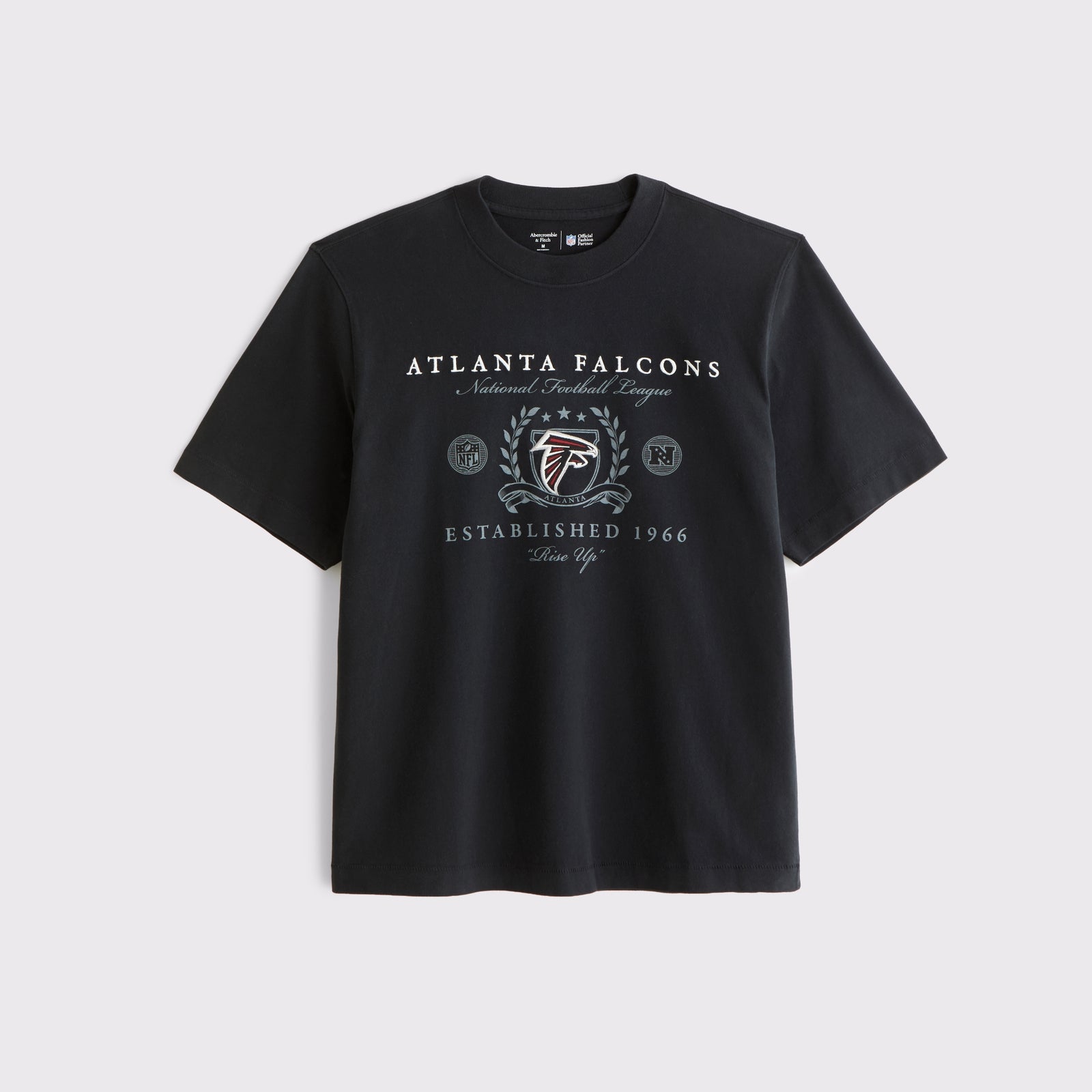 Abercrombie Tennessee Titans Premium Heavyweight 2.0 Tee