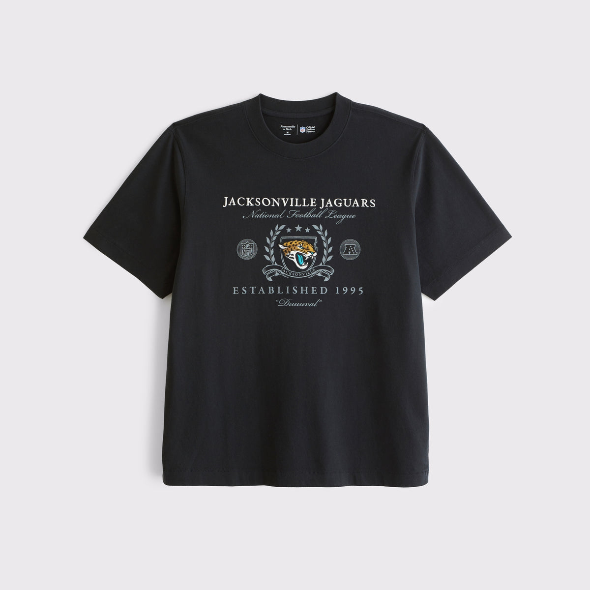 Abercrombie Tennessee Titans Premium Heavyweight 2.0 Tee